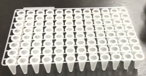 Multi Purpose & Flexible PCR Plates